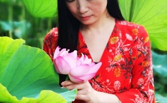 电视剧画眉30集在线播放